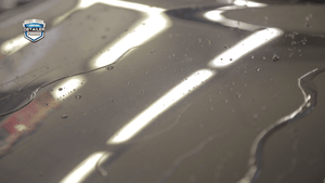 TENZI CARNAUBA SPRAY - The Drivers HQ