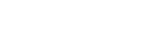 Car-Chem logo