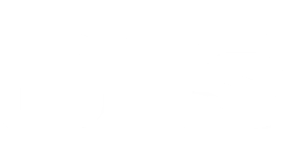 Blo Car Dryer