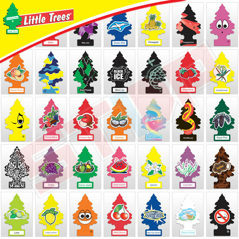 Little Trees Products: Scents & Formats for Every Ride