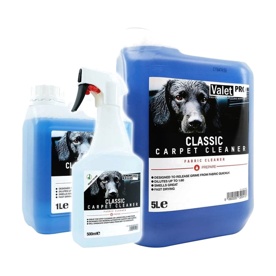 ValetPro Classic Carpet Cleaner, product photo on white