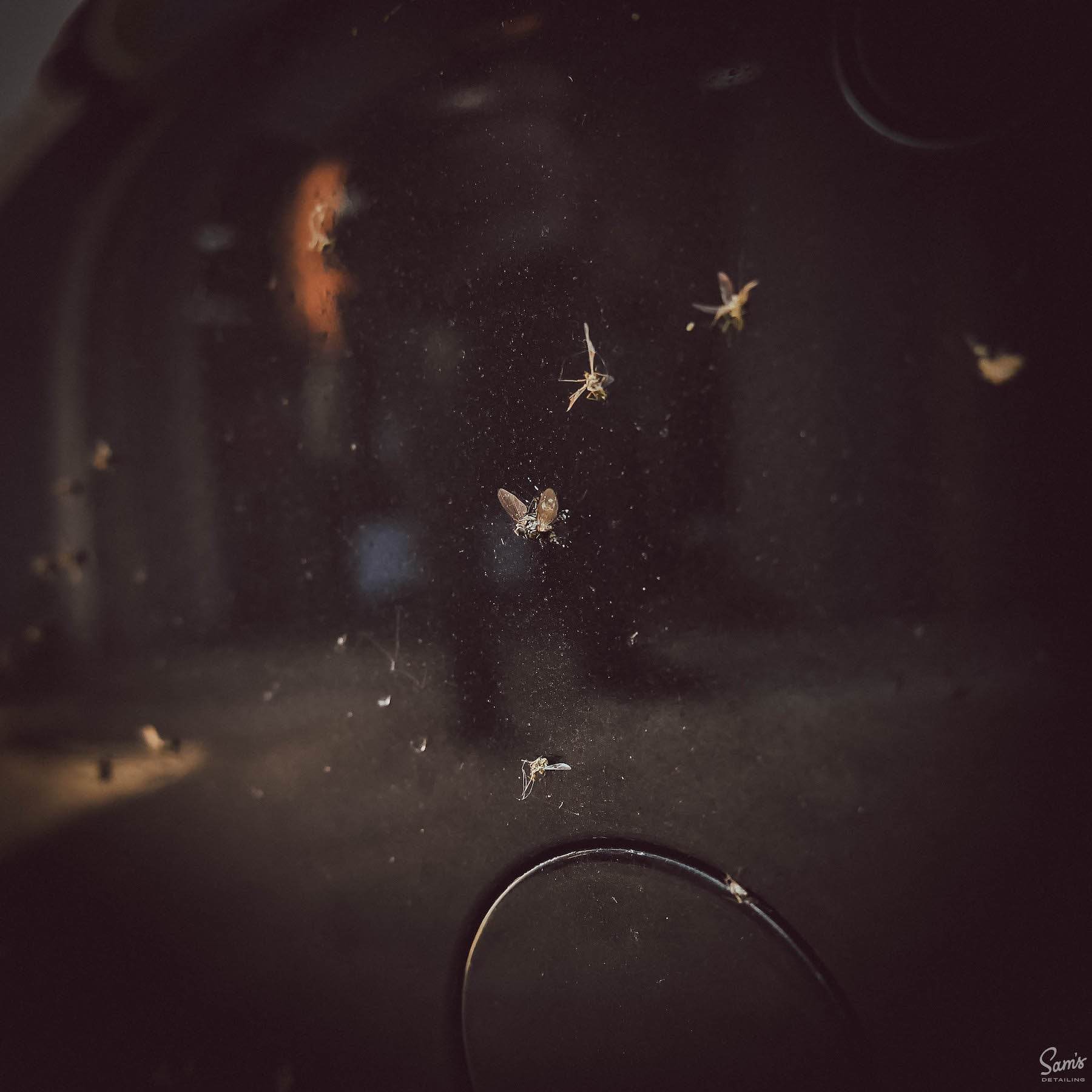 SAMS DETAILING INSECT REMOVER - The Drivers HQ