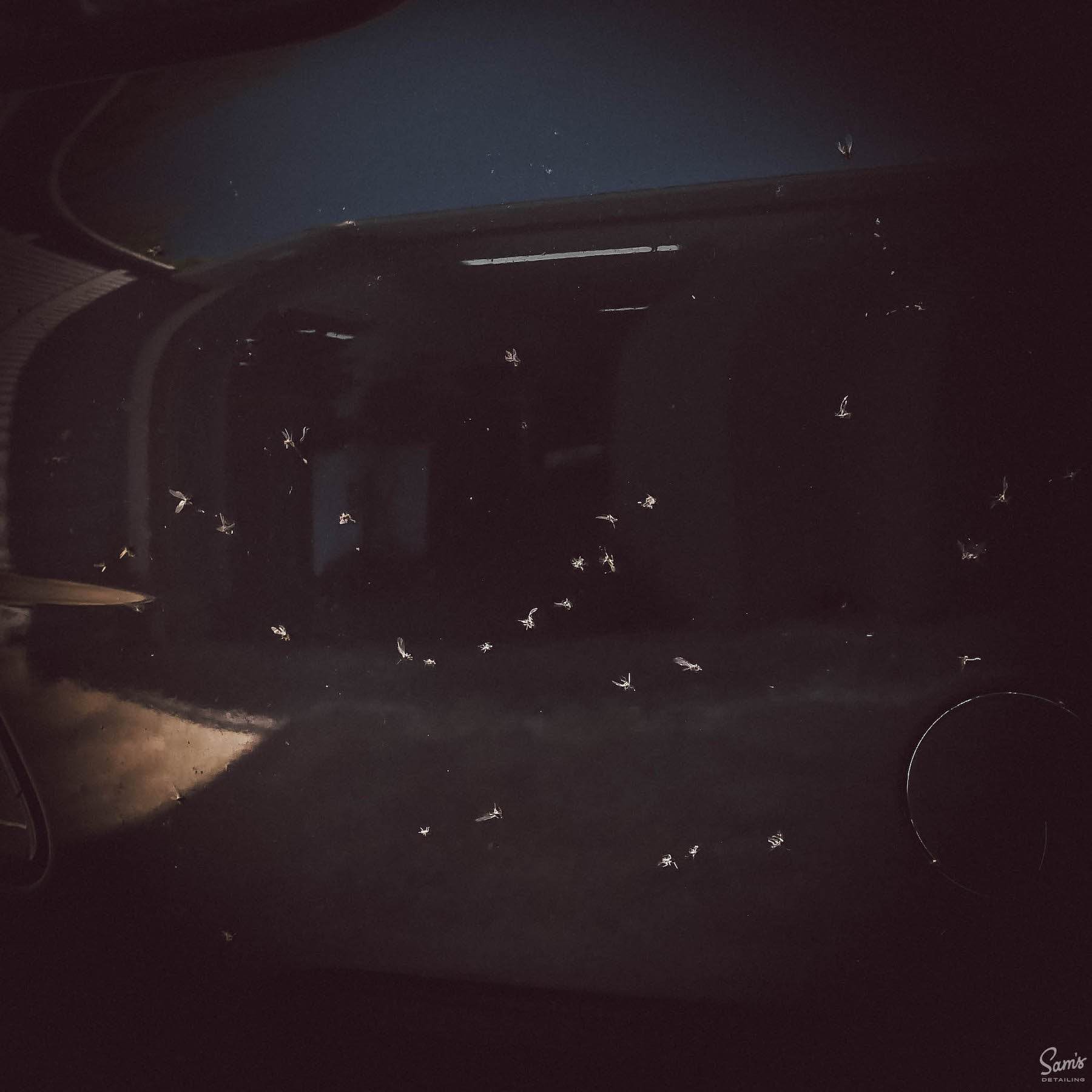 SAMS DETAILING INSECT REMOVER - The Drivers HQ