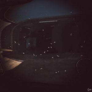 SAMS DETAILING INSECT REMOVER - The Drivers HQ