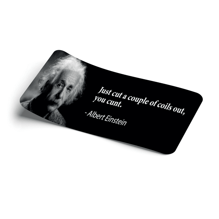 Strictly Static Albert Einstein Slap Decal - The Drivers HQ