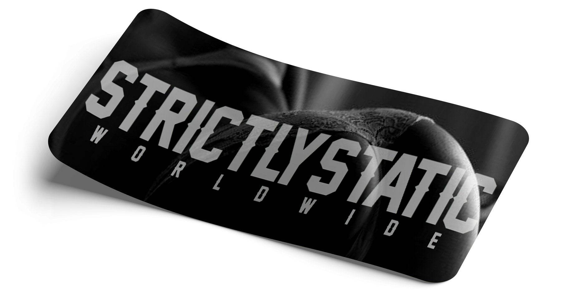 Strictly Static Love Ass Slap Sticker - The Drivers HQ